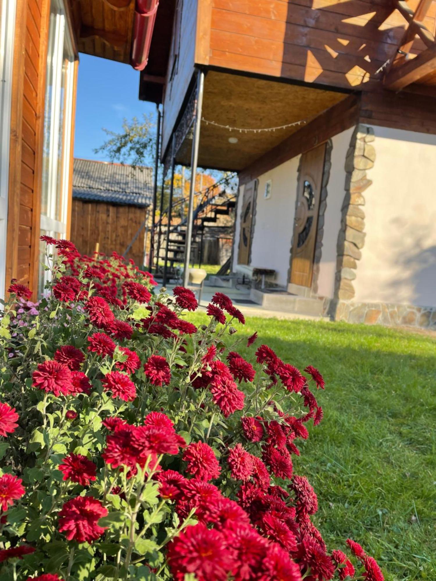 Villa Pidkova à Verkhovyna Extérieur photo