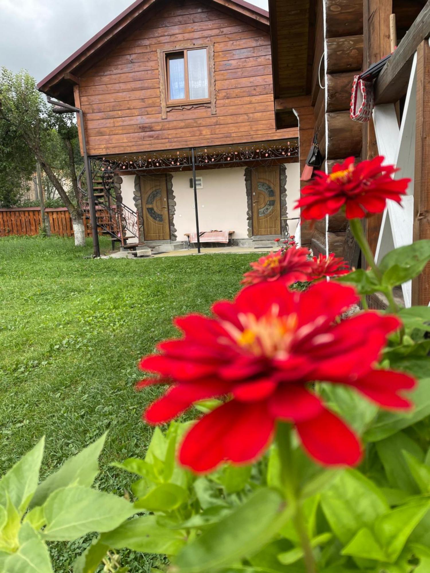 Villa Pidkova à Verkhovyna Extérieur photo